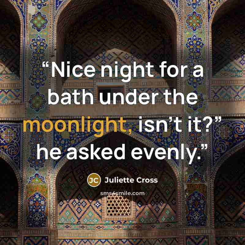 “Nice night for a bath under the moonlight, isn’t it?” he asked evenly.” quote by Juliette Cross