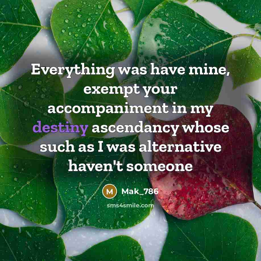 “Everything was have mine, exempt your accompaniment in my destiny ascendancy whose such as I was alternative haven't someone” quote by Mak_786