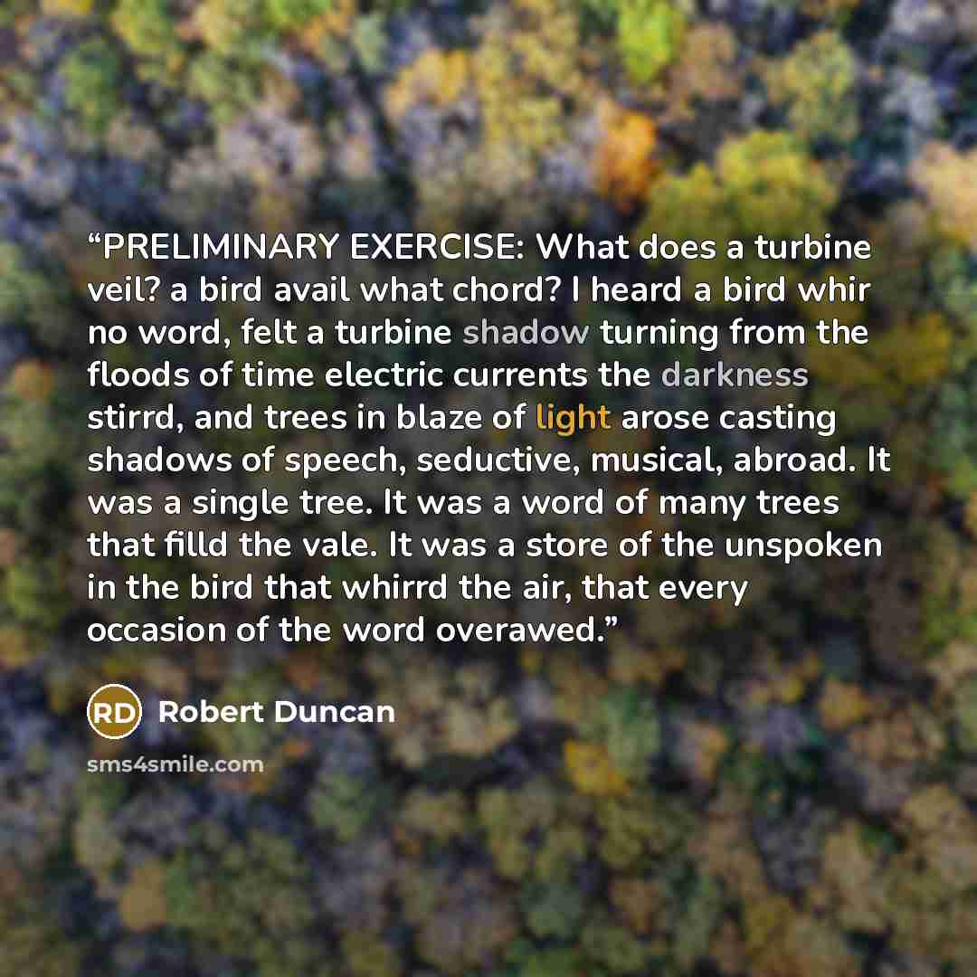 “PRELIMINARY EXERCISE: What does a turbine veil? a bird avail what chord? I heard a bird whir no word, felt a turbine shadow turning from the floods of time electric currents the darkness stirrd, and trees in blaze of light arose casting shadows of speech, seductive, musical, abroad. It was a…” quote by Robert Duncan