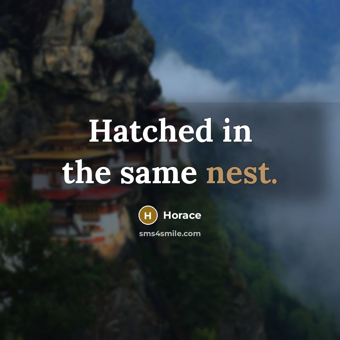 “Hatched in the same nest.” quote by Horace