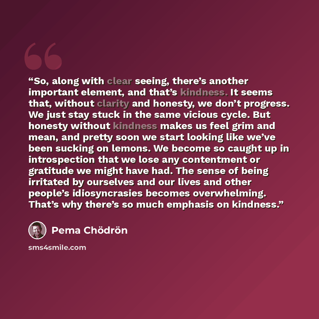 “So, along with clear seeing, there’s another important element, and that’s kindness. It seems that, without clarity and honesty, we don’t progress. We just stay stuck in the same vicious cycle. But honesty without kindness makes us feel grim and mean, and pretty soon we start looking like we’ve…” quote by Pema Chödrön
