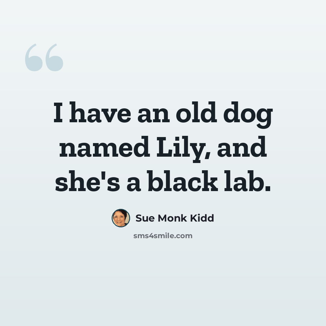 “I have an old dog named Lily, and she's a black lab.” quote by Sue Monk Kidd