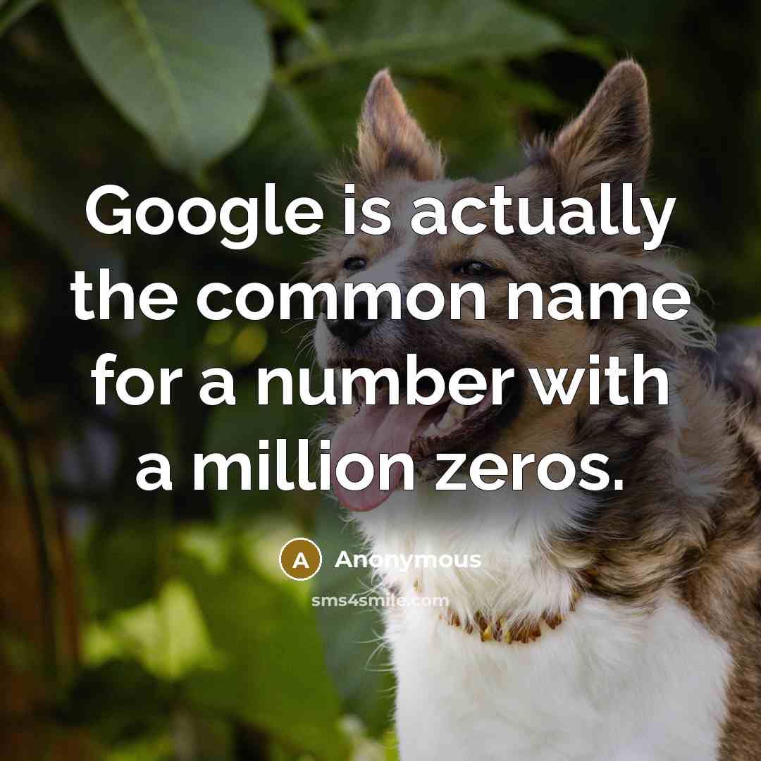 “Google is actually the common name for a number with a million zeros.” quote by Anonymous