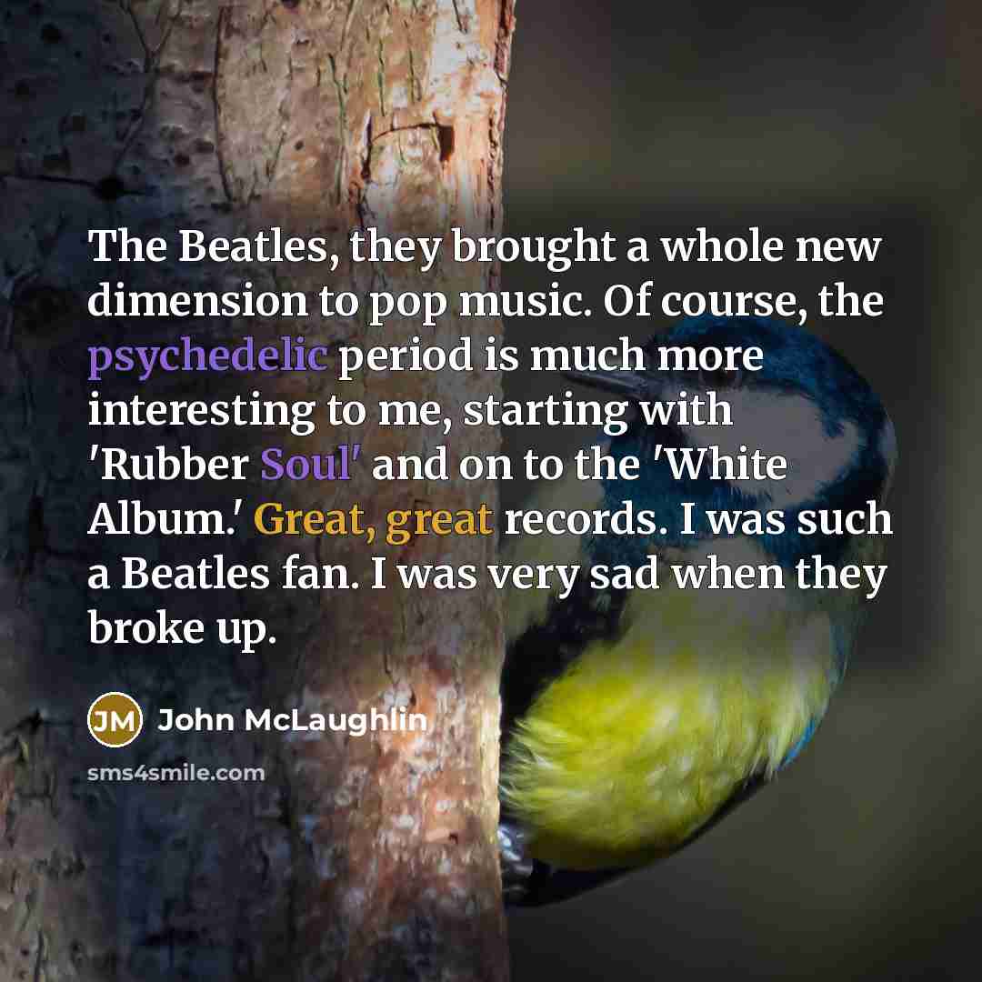 “The Beatles, they brought a whole new dimension to pop music. Of course, the psychedelic period is much more interesting to me, starting with 'Rubber Soul' and on to the 'White Album.' Great, great records. I was such a Beatles fan. I was very sad when they broke up.” quote by John McLaughlin