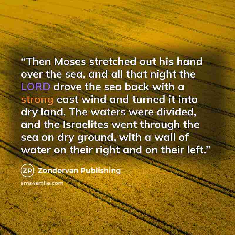 “Then Moses stretched out his hand over the sea, and all that night the LORD drove the sea back with a strong east wind and turned it into dry land. The waters were divided, and the Israelites went through the sea on dry ground, with a wall of water on their right and on their left.” quote by Zondervan Publishing