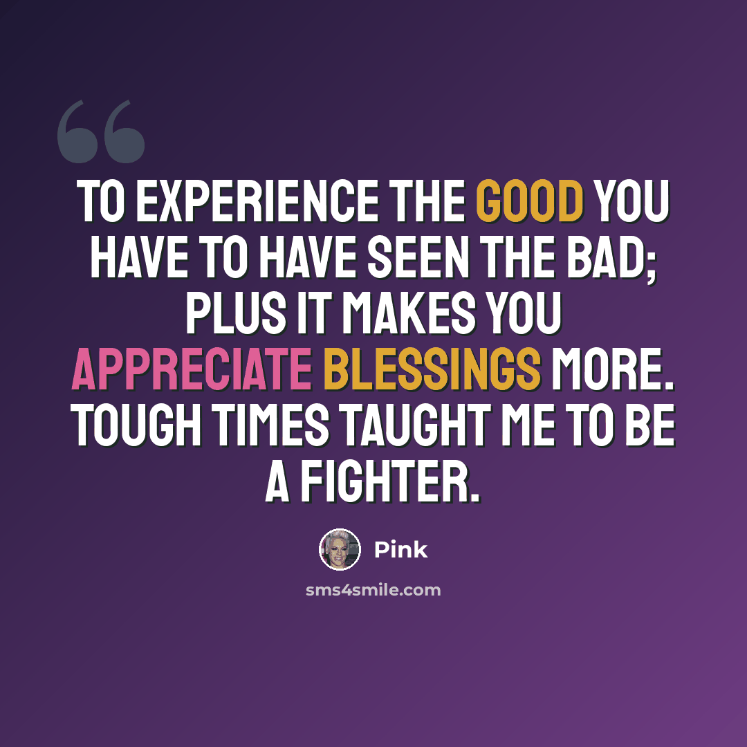 “To experience the good you have to have seen the bad; plus it makes you appreciate blessings more. Tough times taught me to be a fighter.” quote by Pink
