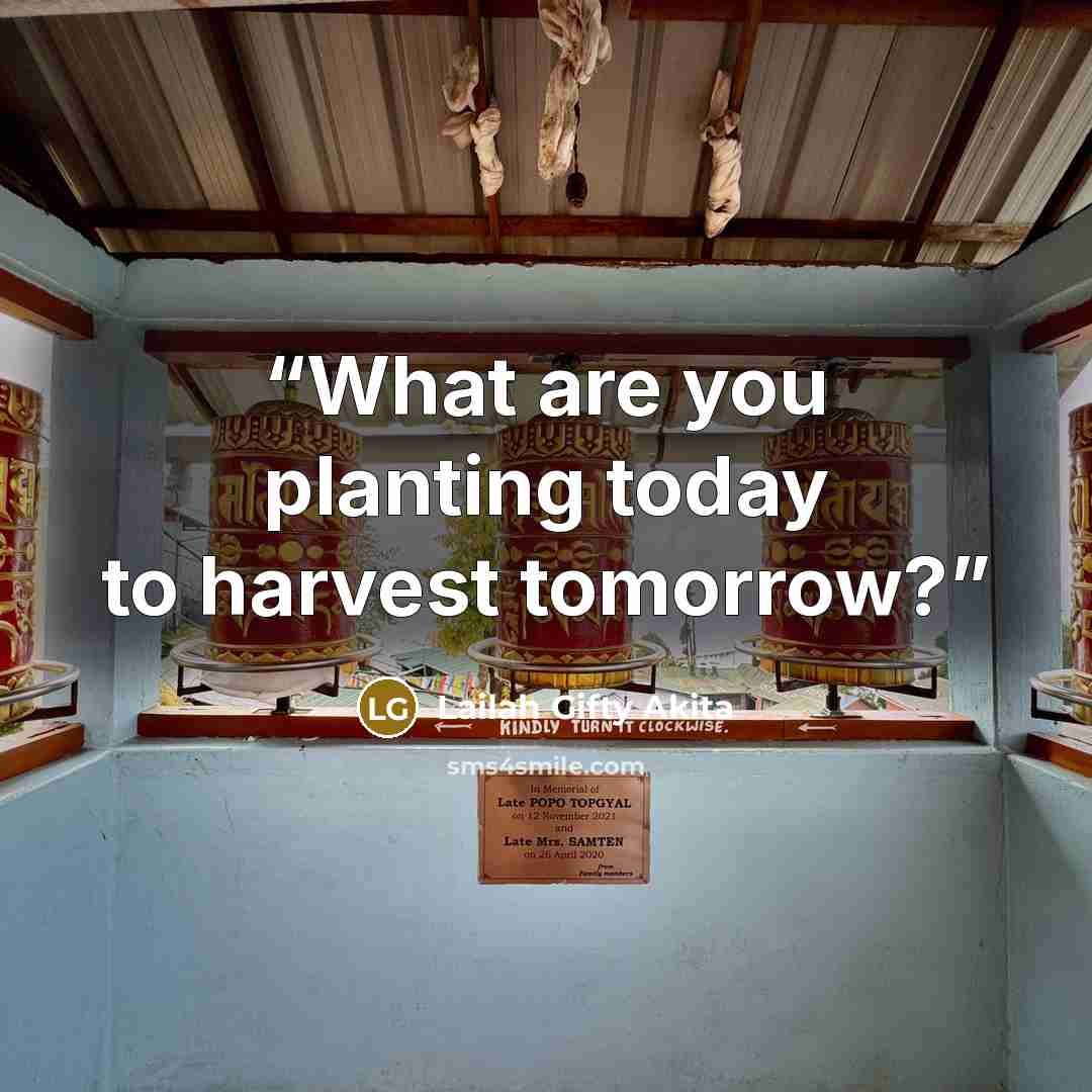 “What are you planting today to harvest tomorrow?” quote by Lailah Gifty Akita