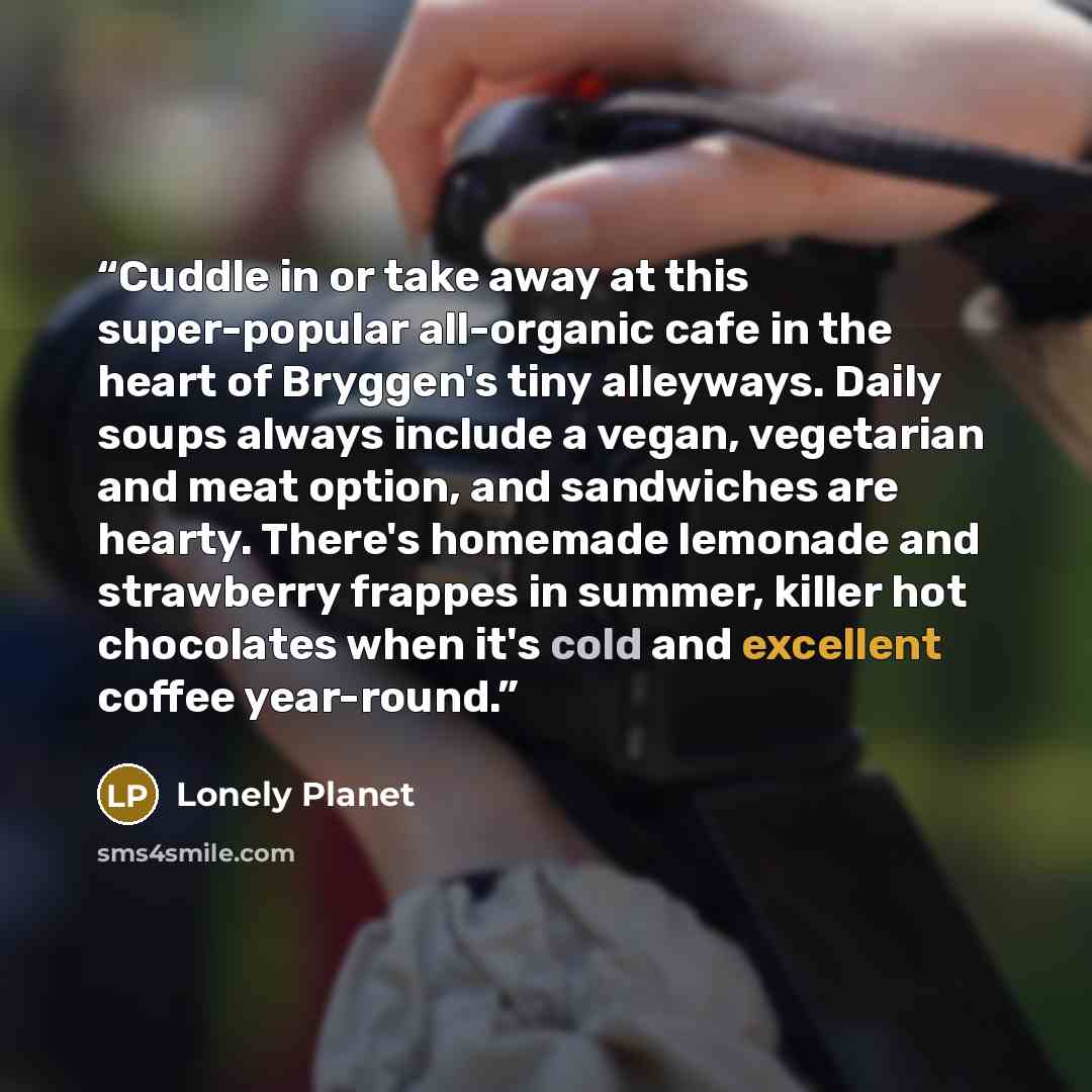 “Cuddle in or take away at this super-popular all-organic cafe in the heart of Bryggen's tiny alleyways. Daily soups always include a vegan, vegetarian and meat option, and sandwiches are hearty. There's homemade lemonade and strawberry frappes in summer, killer hot chocolates when it's cold and…” quote by Lonely Planet