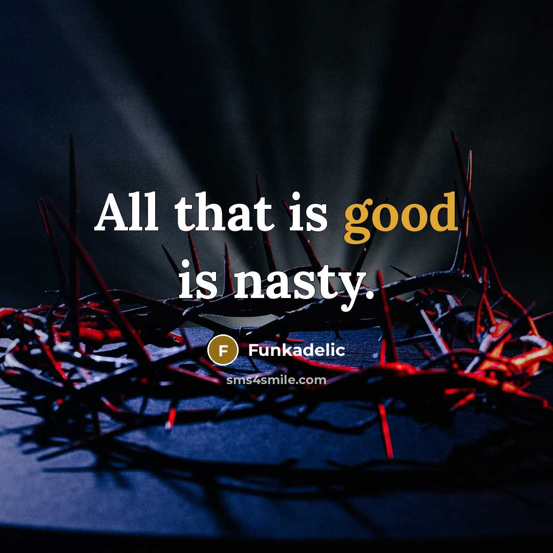 “All that is good is nasty.” quote by Funkadelic