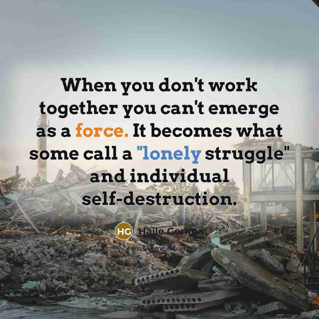 “When you don't work together you can't emerge as a force. It becomes what some call a "lonely struggle" and individual self-destruction.” quote by Haile Gerima