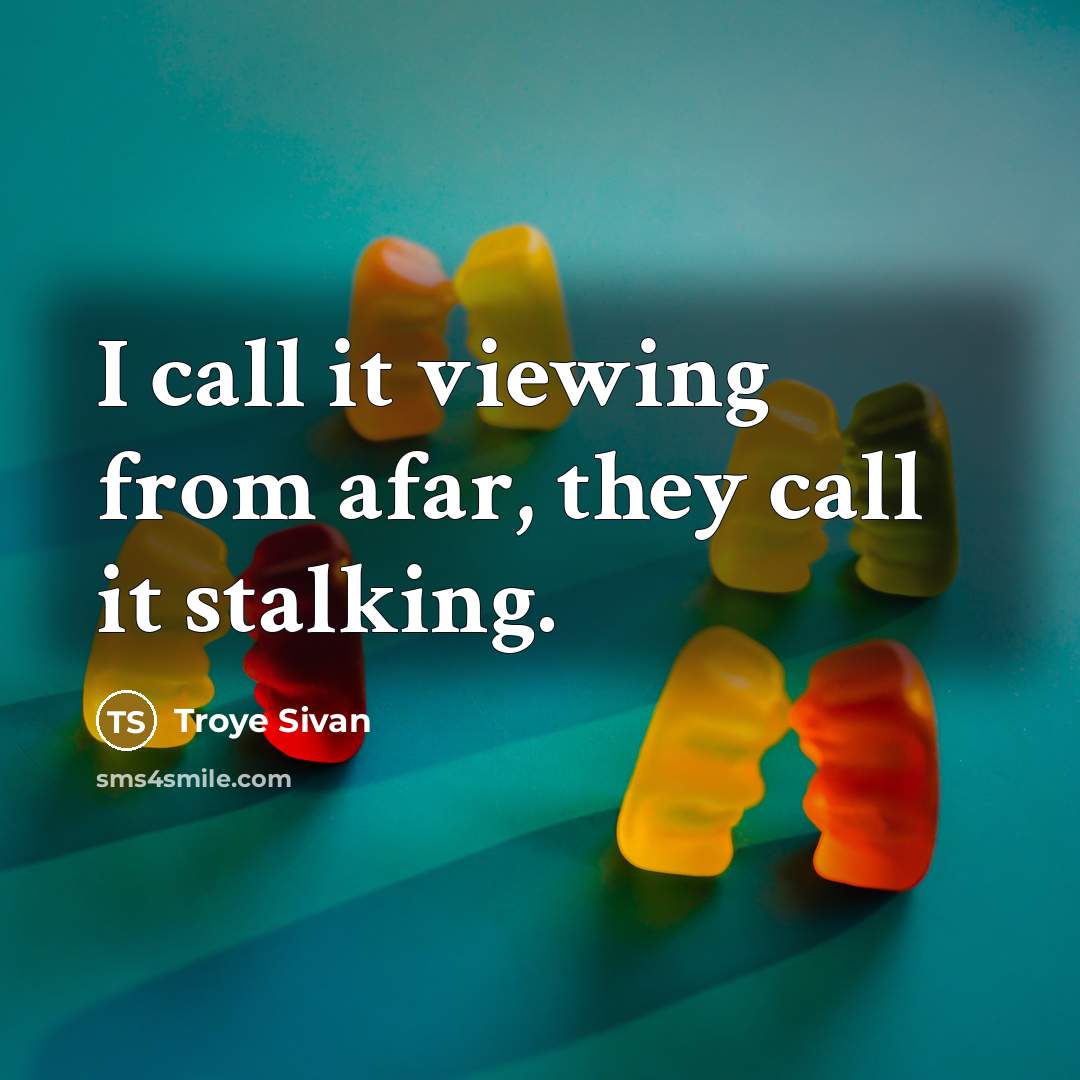 “I call it viewing from afar, they call it stalking.” quote by Troye Sivan