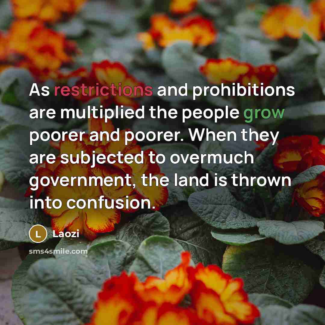 “As restrictions and prohibitions are multiplied the people grow poorer and poorer. When they are subjected to overmuch government, the land is thrown into confusion.” quote by Laozi