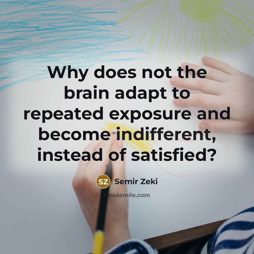 “Why does not the brain adapt to repeated exposure and become indifferent, instead of satisfied?” quote by Semir Zeki