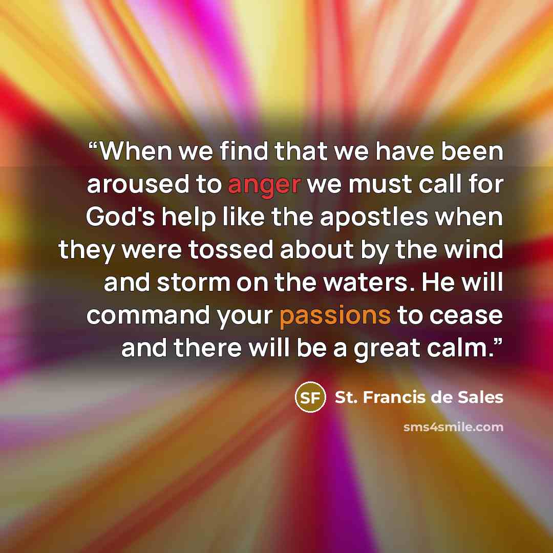 “When we find that we have been aroused to anger we must call for God's help like the apostles when they were tossed about by the wind and storm on the waters. He will command your passions to cease and there will be a great calm.” quote by St. Francis de Sales