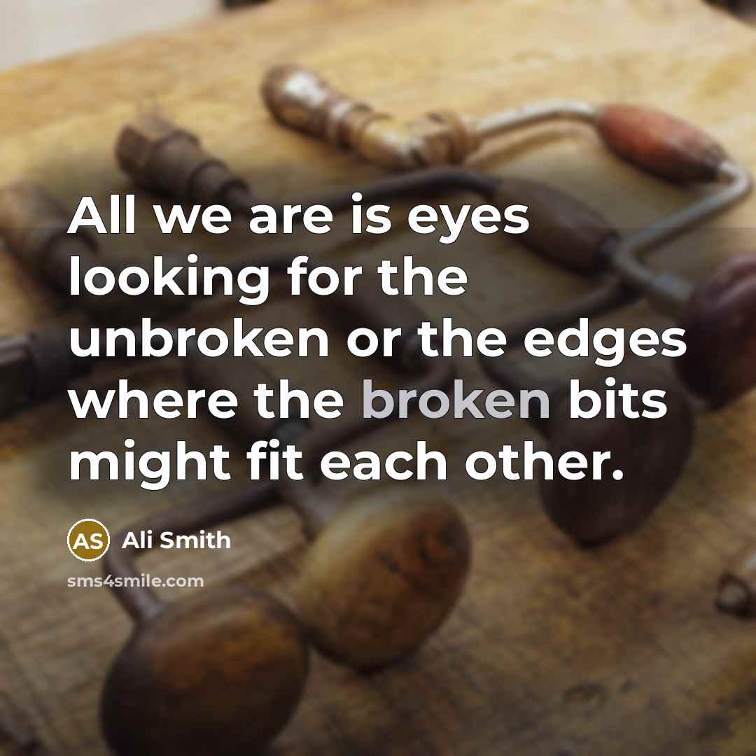 “All we are is eyes looking for the unbroken or the edges where the broken bits might fit each other.” quote by Ali Smith