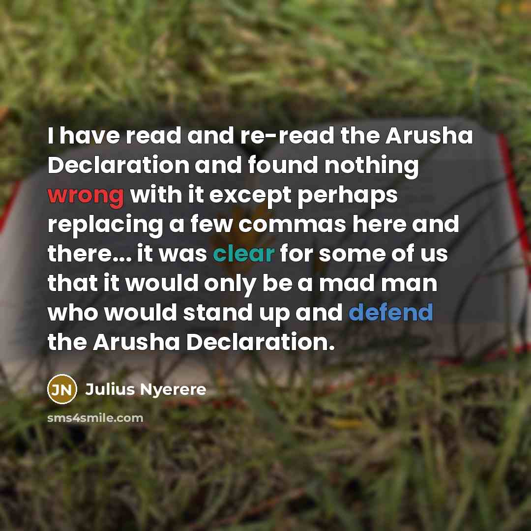 “I have read and re-read the Arusha Declaration and found nothing wrong with it except perhaps replacing a few commas here and there... it was clear for some of us that it would only be a mad man who would stand up and defend the Arusha Declaration.” quote by Julius Nyerere