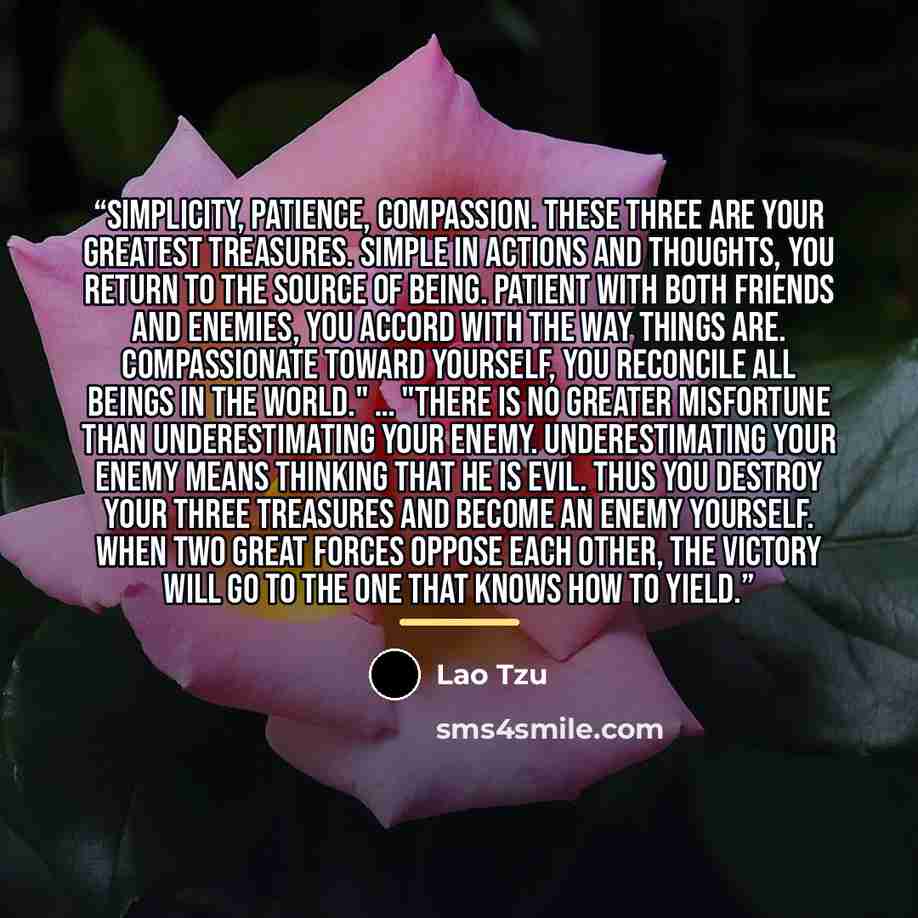 “Simplicity, patience, compassion. These three are your greatest treasures. Simple in actions and thoughts, you return to the source of being. Patient with both friends and enemies, you accord with the way things are. Compassionate toward yourself, you reconcile all beings in the world." … "There…” quote by Lao Tzu
