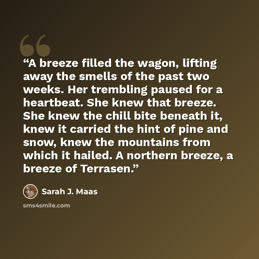 “A breeze filled the wagon, lifting away the smells of the past two weeks. Her trembling paused for a heartbeat. She knew that breeze. She knew the chill bite beneath it, knew it carried the hint of pine and snow, knew the mountains from which it hailed. A northern breeze, a breeze of Terrasen.” quote by Sarah J. Maas