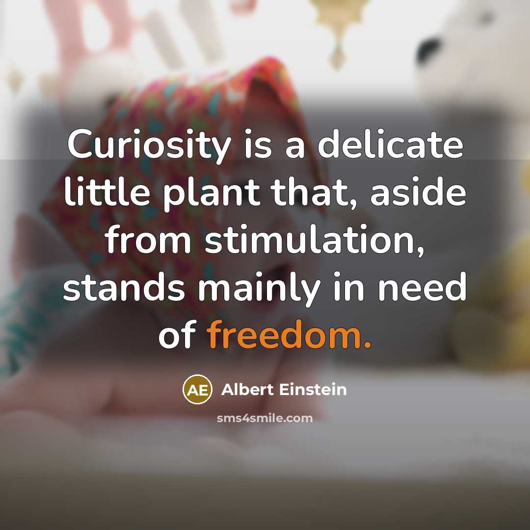 “Curiosity is a delicate little plant that, aside from stimulation, stands mainly in need of freedom.” quote by Albert Einstein