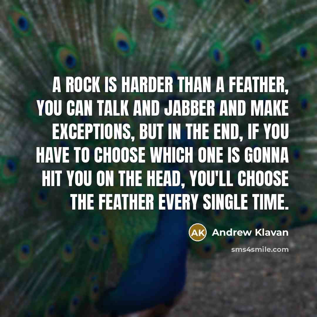 “A rock is harder than a feather, you can talk and jabber and make exceptions, but in the end, if you have to choose which one is gonna hit you on the head, you'll choose the feather every single time.” quote by Andrew Klavan