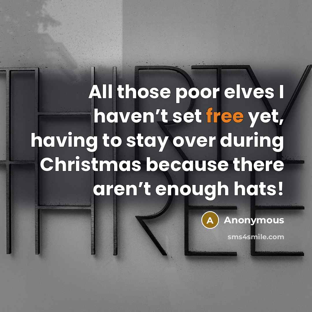 “All those poor elves I haven’t set free yet, having to stay over during Christmas because there aren’t enough hats!” quote by Anonymous