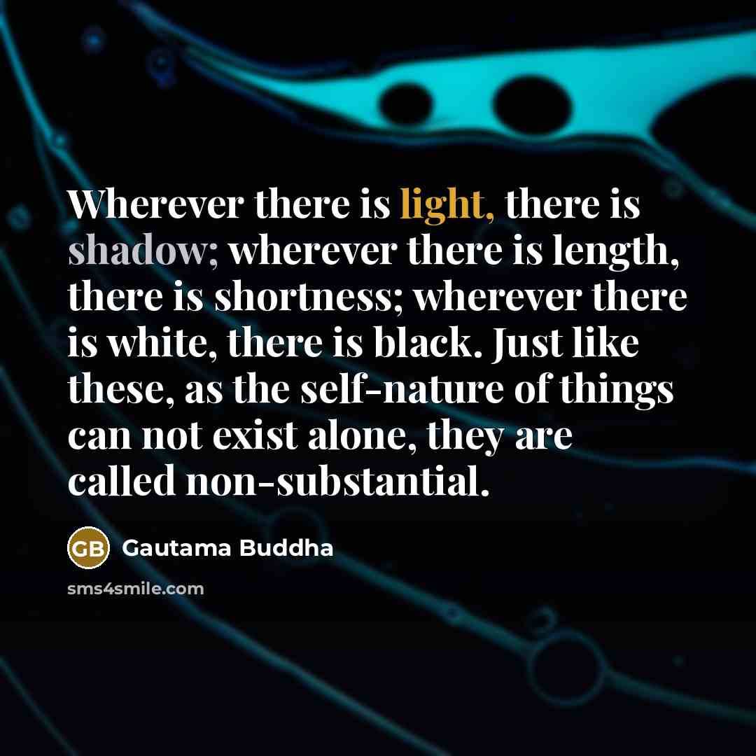 “Wherever there is light, there is shadow; wherever there is length, there is shortness; wherever there is white, there is black. Just like these, as the self-nature of things can not exist alone, they are called non-substantial.” quote by Gautama Buddha
