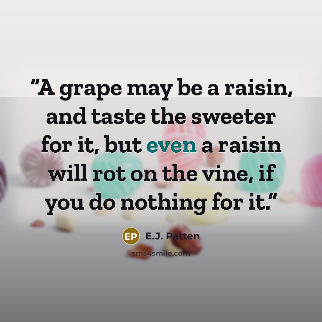 “A grape may be a raisin, and taste the sweeter for it, but even a raisin will rot on the vine, if you do nothing for it.” quote by E.J. Patten