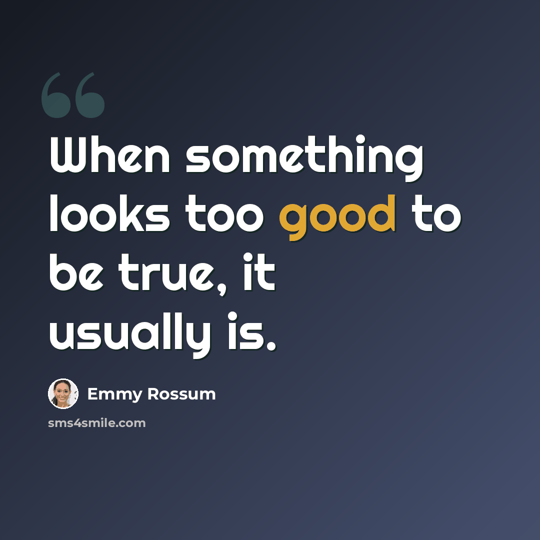 “When something looks too good to be true, it usually is.” quote by Emmy Rossum