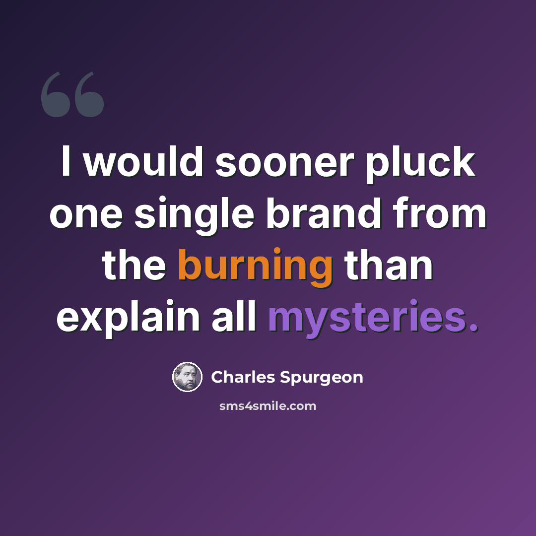 “I would sooner pluck one single brand from the burning than explain all mysteries.” quote by Charles Spurgeon