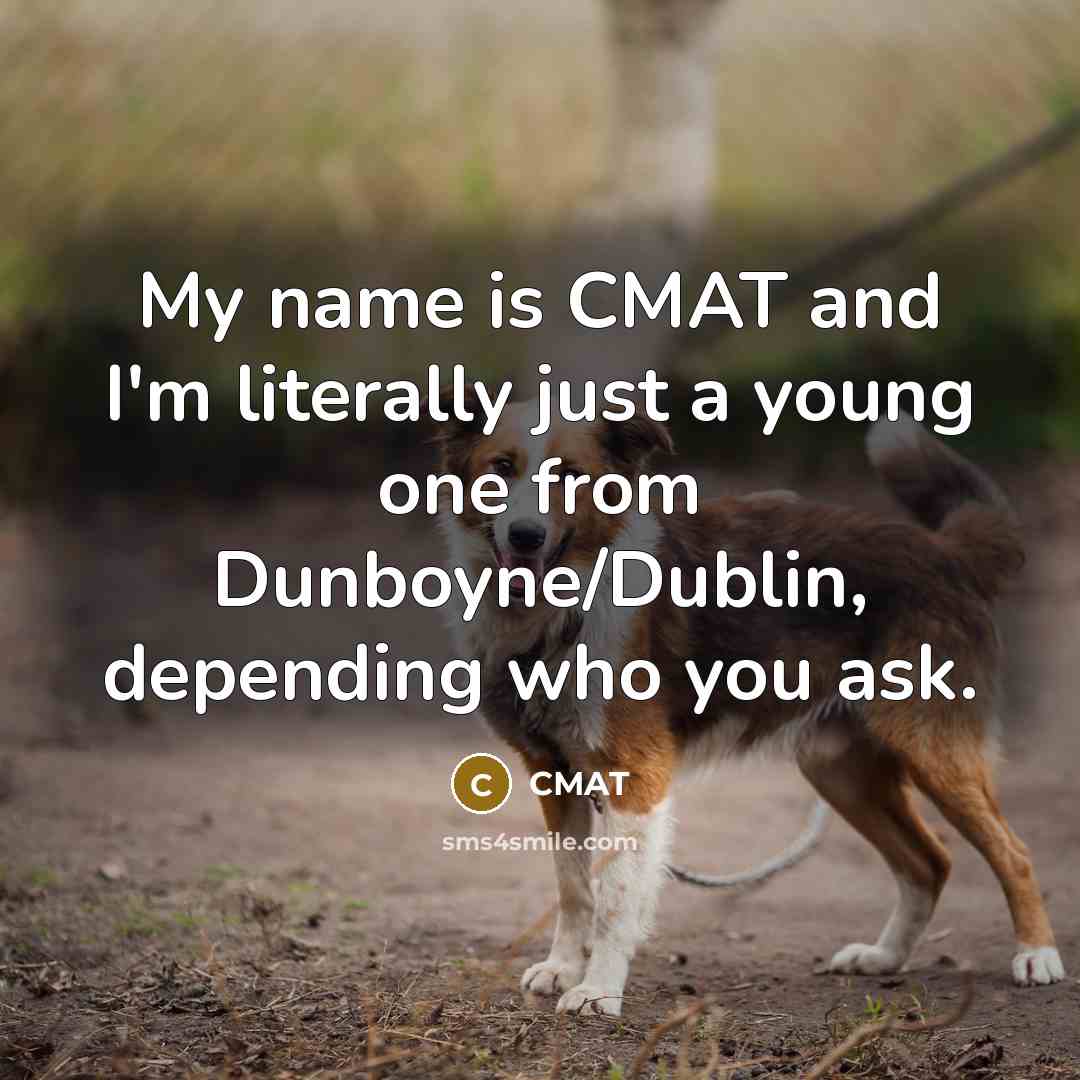 “My name is CMAT and I'm literally just a young one from Dunboyne/Dublin, depending who you ask.” quote by CMAT