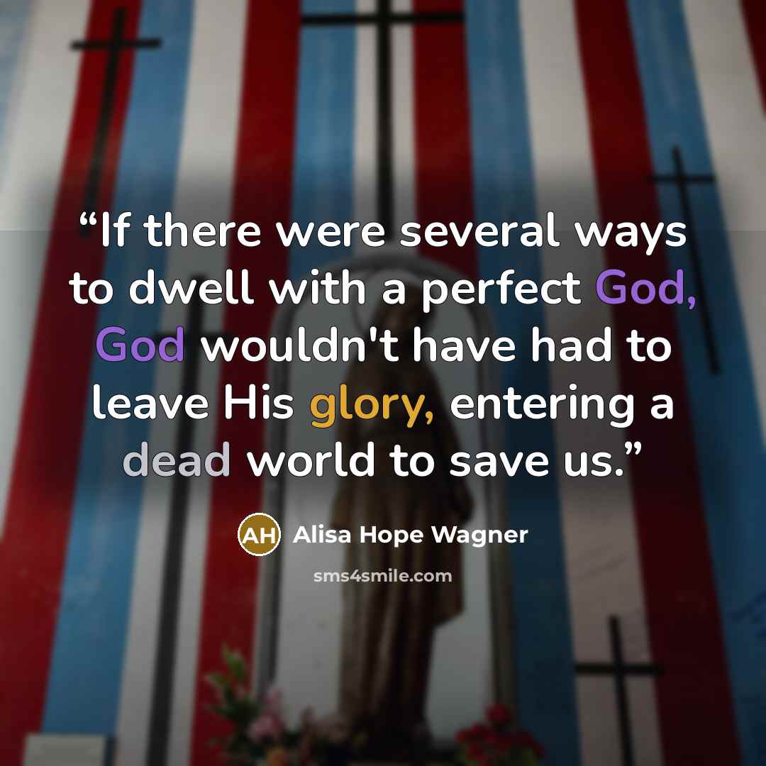 “If there were several ways to dwell with a perfect God, God wouldn't have had to leave His glory, entering a dead world to save us.” quote by alisa hope wagner