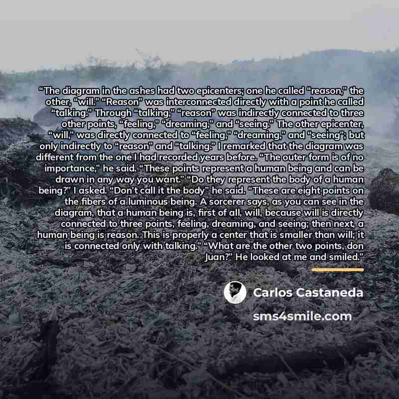 “The diagram in the ashes had two epicenters; one he called “reason,” the other, “will.” “Reason” was interconnected directly with a point he called “talking.” Through “talking,” “reason” was indirectly connected to three other points, “feeling,” “dreaming,” and “seeing.” The other epicenter…” quote by Carlos Castaneda
