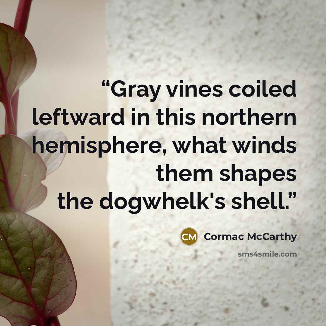 “Gray vines coiled leftward in this northern hemisphere, what winds them shapes the dogwhelk's shell.” quote by Cormac McCarthy