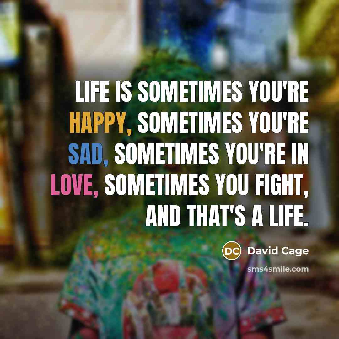 “Life is sometimes you're happy, sometimes you're sad, sometimes you're in love, sometimes you fight, and that's a life.” quote by David Cage