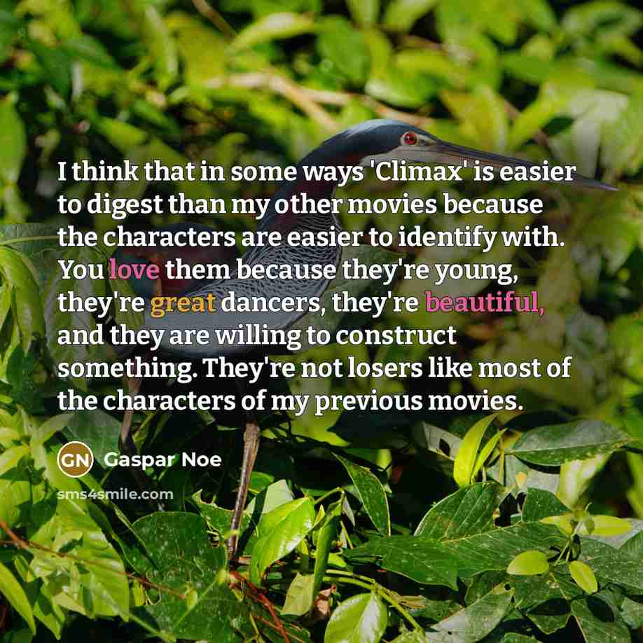 “I think that in some ways 'Climax' is easier to digest than my other movies because the characters are easier to identify with. You love them because they're young, they're great dancers, they're beautiful, and they are willing to construct something. They're not losers like most of the characters…” quote by Gaspar Noe