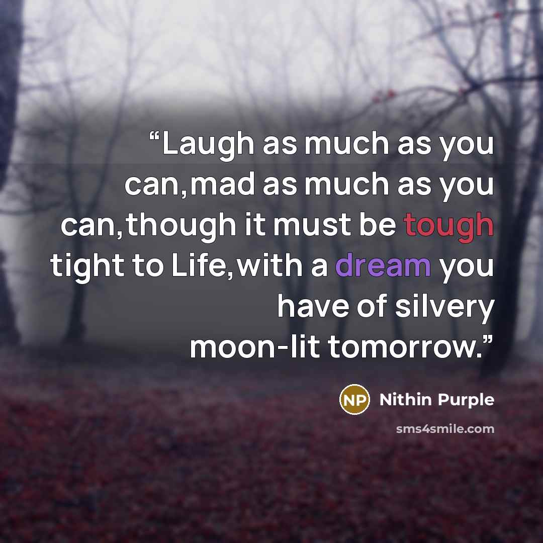 “Laugh as much as you can,mad as much as you can,though it must be tough tight to Life,with a dream you have of silvery moon-lit tomorrow.” quote by Nithin Purple