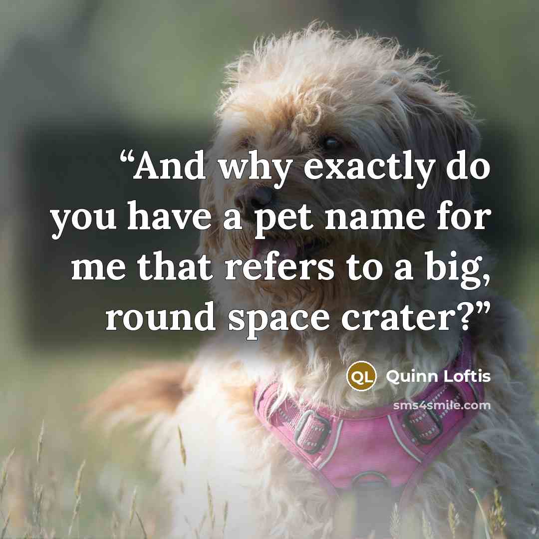 “And why exactly do you have a pet name for me that refers to a big, round space crater?” quote by Quinn Loftis