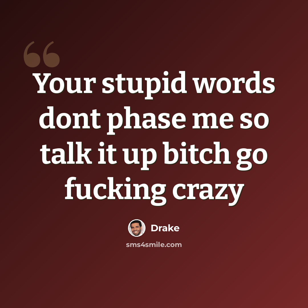 “Your stupid words dont phase me so talk it up bitch go fucking crazy” quote by Drake