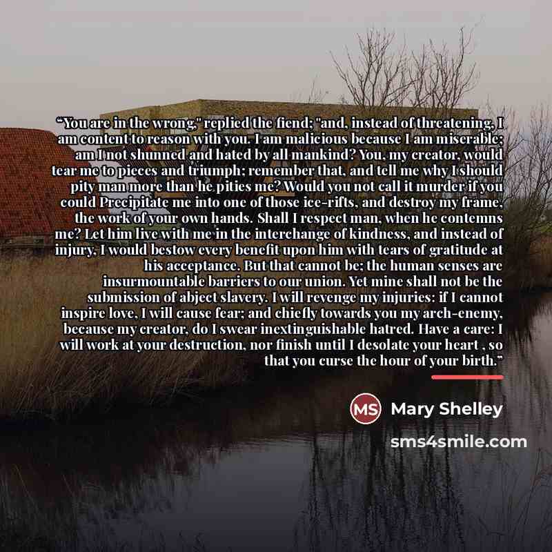 “You are in the wrong," replied the fiend; "and, instead of threatening, I am content to reason with you. I am malicious because I am miserable; am I not shunned and hated by all mankind? You, my creator, would tear me to pieces and triumph; remember that, and tell me why I should pity man more…” quote by Mary Shelley
