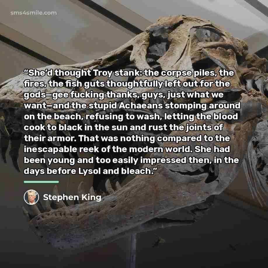 “She’d thought Troy stank: the corpse piles, the fires, the fish guts thoughtfully left out for the gods—gee fucking thanks, guys, just what we want—and the stupid Achaeans stomping around on the beach, refusing to wash, letting the blood cook to black in the sun and rust the joints of their armor…” quote by Stephen King