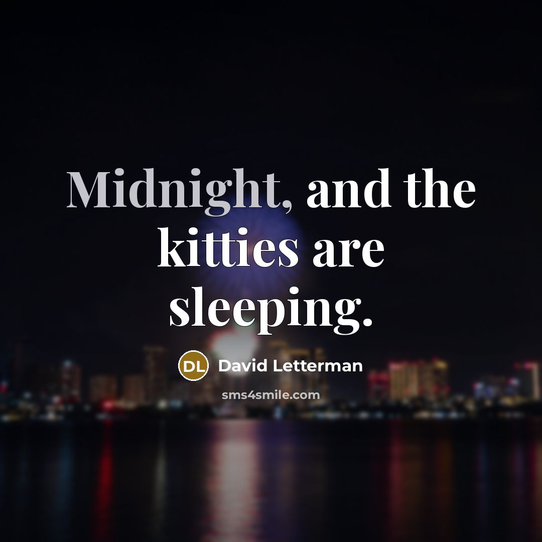 “Midnight, and the kitties are sleeping.” quote by David Letterman
