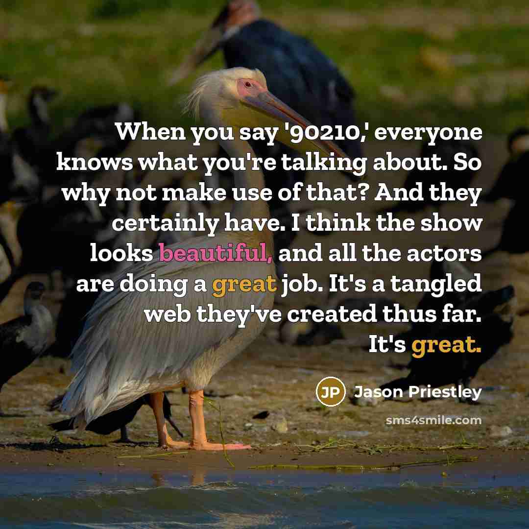“When you say '90210,' everyone knows what you're talking about. So why not make use of that? And they certainly have. I think the show looks beautiful, and all the actors are doing a great job. It's a tangled web they've created thus far. It's great.” quote by Jason Priestley