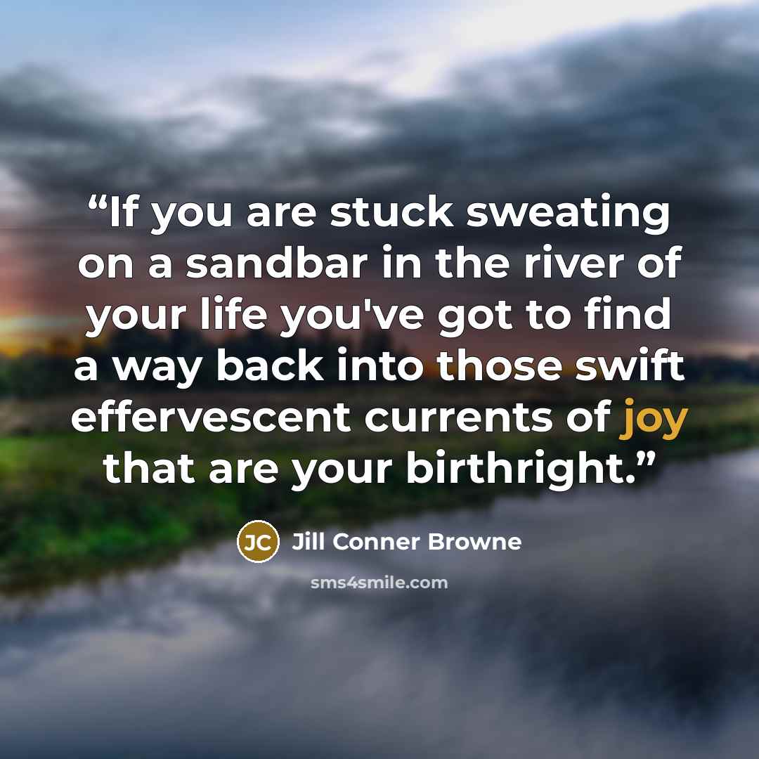 “If you are stuck sweating on a sandbar in the river of your life you've got to find a way back into those swift effervescent currents of joy that are your birthright.” quote by Jill Conner Browne