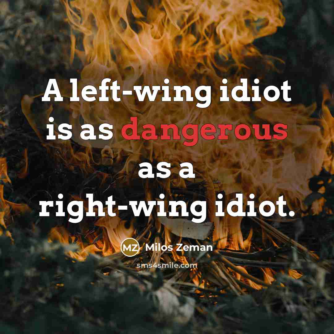 “A left-wing idiot is as dangerous as a right-wing idiot.” quote by Milos Zeman