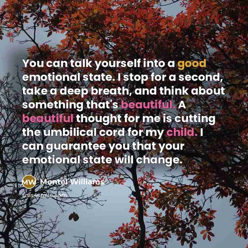 “You can talk yourself into a good emotional state. I stop for a second, take a deep breath, and think about something that's beautiful. A beautiful thought for me is cutting the umbilical cord for my child. I can guarantee you that your emotional state will change.” quote by Montel Williams