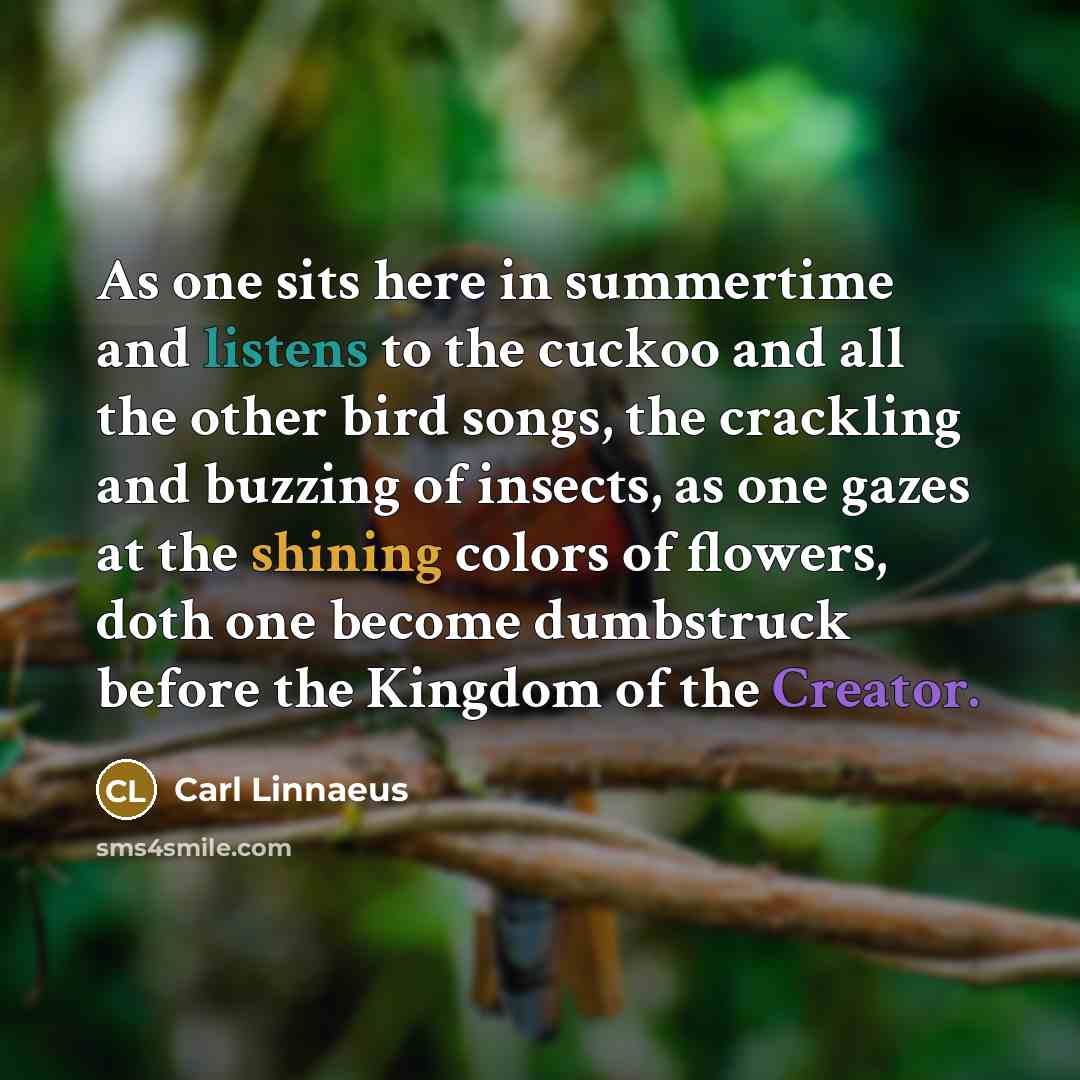“As one sits here in summertime and listens to the cuckoo and all the other bird songs, the crackling and buzzing of insects, as one gazes at the shining colors of flowers, doth one become dumbstruck before the Kingdom of the Creator.” quote by Carl Linnaeus