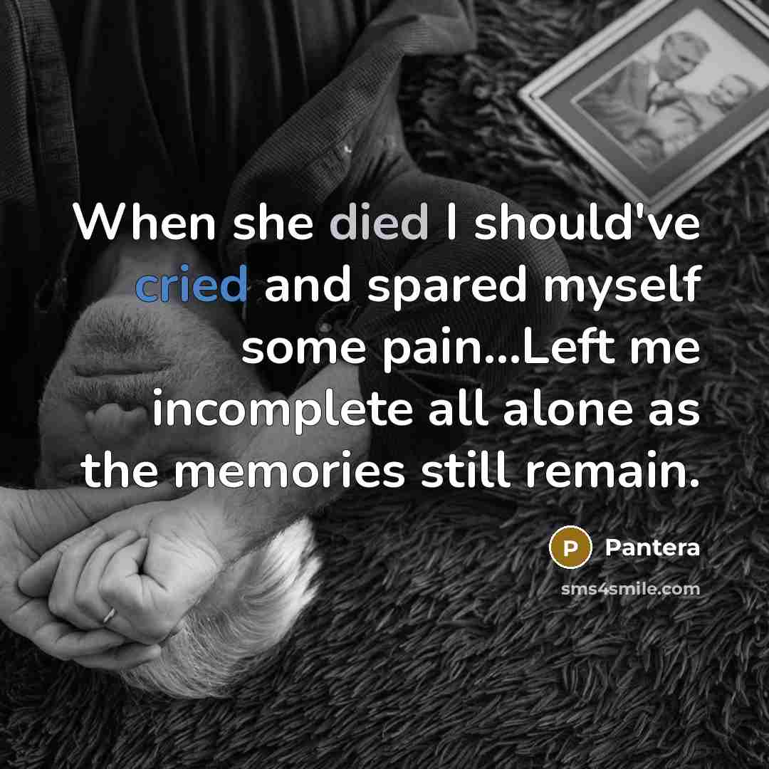 “When she died I should've cried and spared myself some pain...Left me incomplete all alone as the memories still remain.” quote by Pantera
