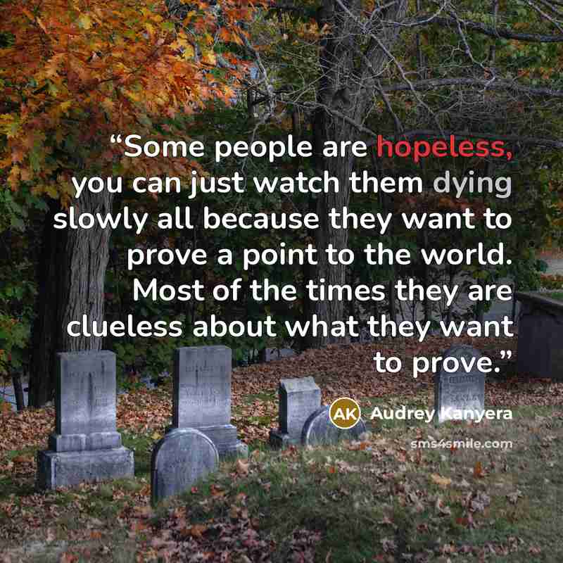 “Some people are hopeless, you can just watch them dying slowly all because they want to prove a point to the world. Most of the times they are clueless about what they want to prove.” quote by Audrey Kanyera