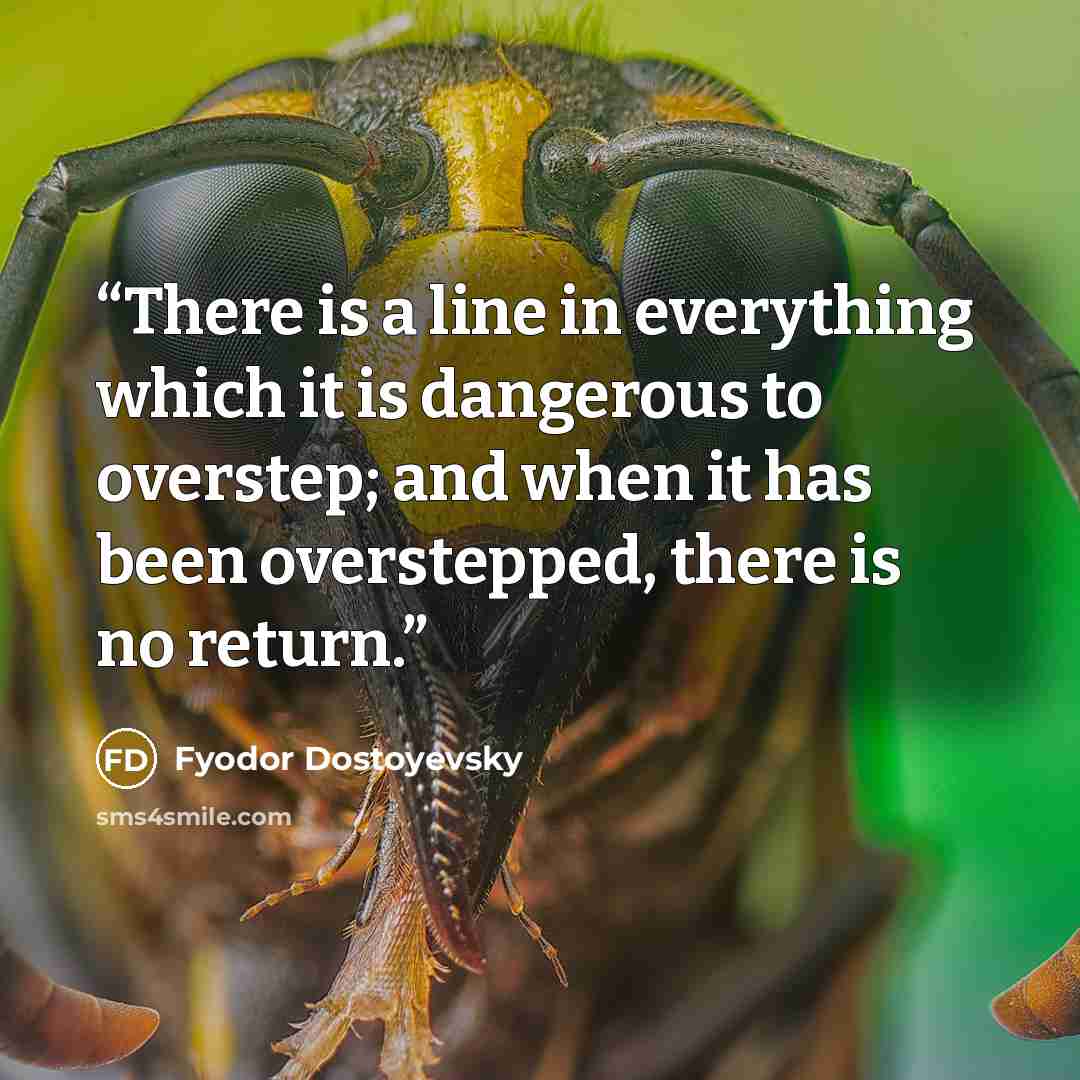 “There is a line in everything which it is dangerous to overstep; and when it has been overstepped, there is no return.” quote by Fyodor Dostoyevsky