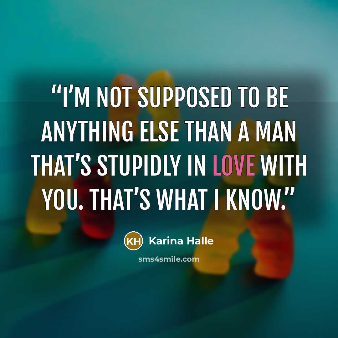 “I’m not supposed to be anything else than a man that’s stupidly in love with you. That’s what I know.” quote by Karina Halle